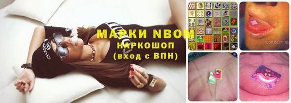ГАЛЛЮЦИНОГЕННЫЕ ГРИБЫ Навашино