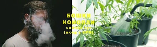 ГАЛЛЮЦИНОГЕННЫЕ ГРИБЫ Навашино