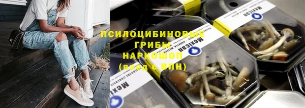 стаф Нефтегорск