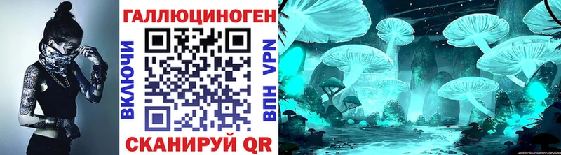 Псилоцибиновые грибы Cubensis  Купить  Чапаевск 